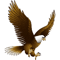 Eagle Png Image With Transparency Download