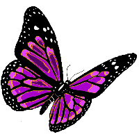 Flying Butterfly Png Image