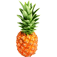 Pineapple Png Image Download