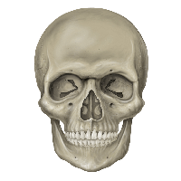 Skull Png Image