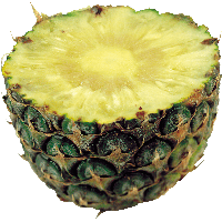 Half Pineapple Png Image