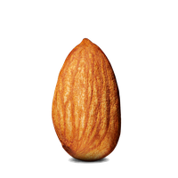 Almond Png Image