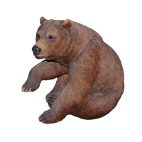 Bear Png 6