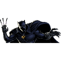 Black Panther Png Image