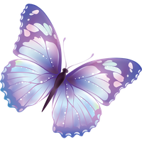 Butterfly Png 3