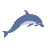 Dolphin Png Picture