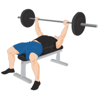Exercise Bench Png