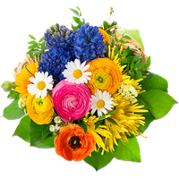 Flowers Png 6