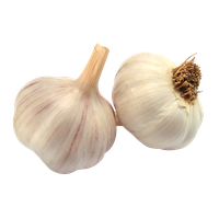 Garlic Transparent