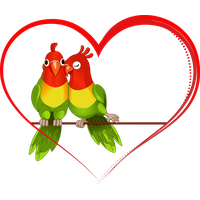 Love Birds Picture