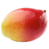 Mango Picture