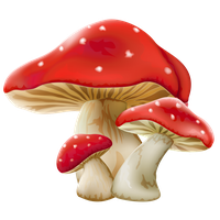 Mushroom Png Picture