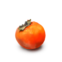 Persimmon Png Picture