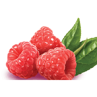 Raspberry Download Png