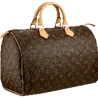 Louis Vuitton Women Bag Png Image