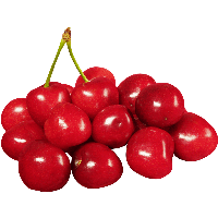 Cherries Png Image