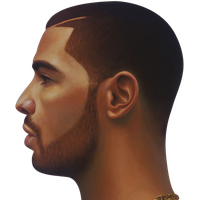 Drake Face Image