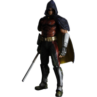 Arkham City Robin Image