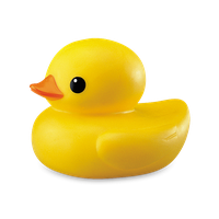 Duck Transparent