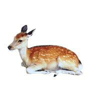 Cute Transparent Deer
