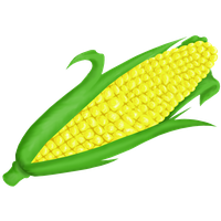 Corn On Cob Clip Art