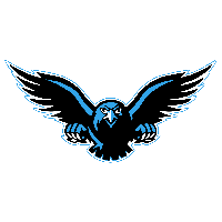 Falcon Transparent Background