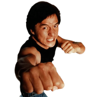 Jackie Chan File