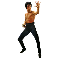 Bruce Lee File