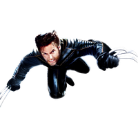 Wolverine Transparent