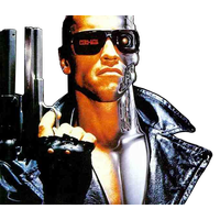 Terminator Picture