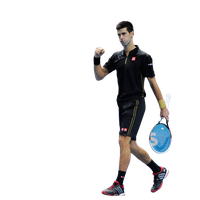 Novak Djokovic Picture
