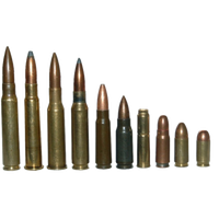 Transparent Gun Bullets