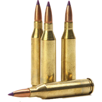 Transparent Rifle Bullets