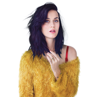 Katy Perry Picture