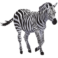 Zebra File
