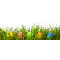 Beautiful Easter Eggs In Grass