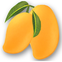 Mango Transparent
