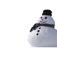 Real Snowman