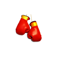 Boxing Gloves File