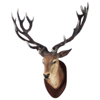 Deer Head Transparent Image