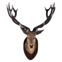 Deer Head Transparent