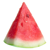 Watermelon Slice File