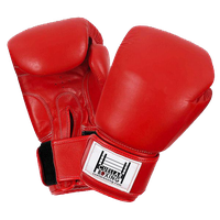Boxing Gloves Transparent