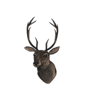 Deer Head File