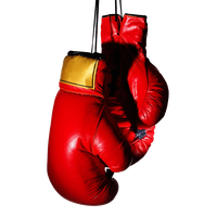 Boxing Gloves Transparent Image