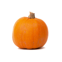 Real Pumpkin Transparent