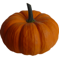 Real Pumpkin Image