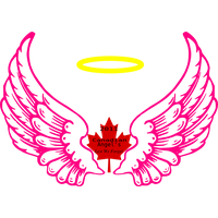 Angel Halo Wings Image