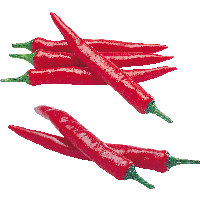 Red Chili Pepper Png Image