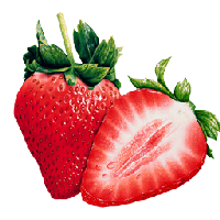 Strawberry Png Images